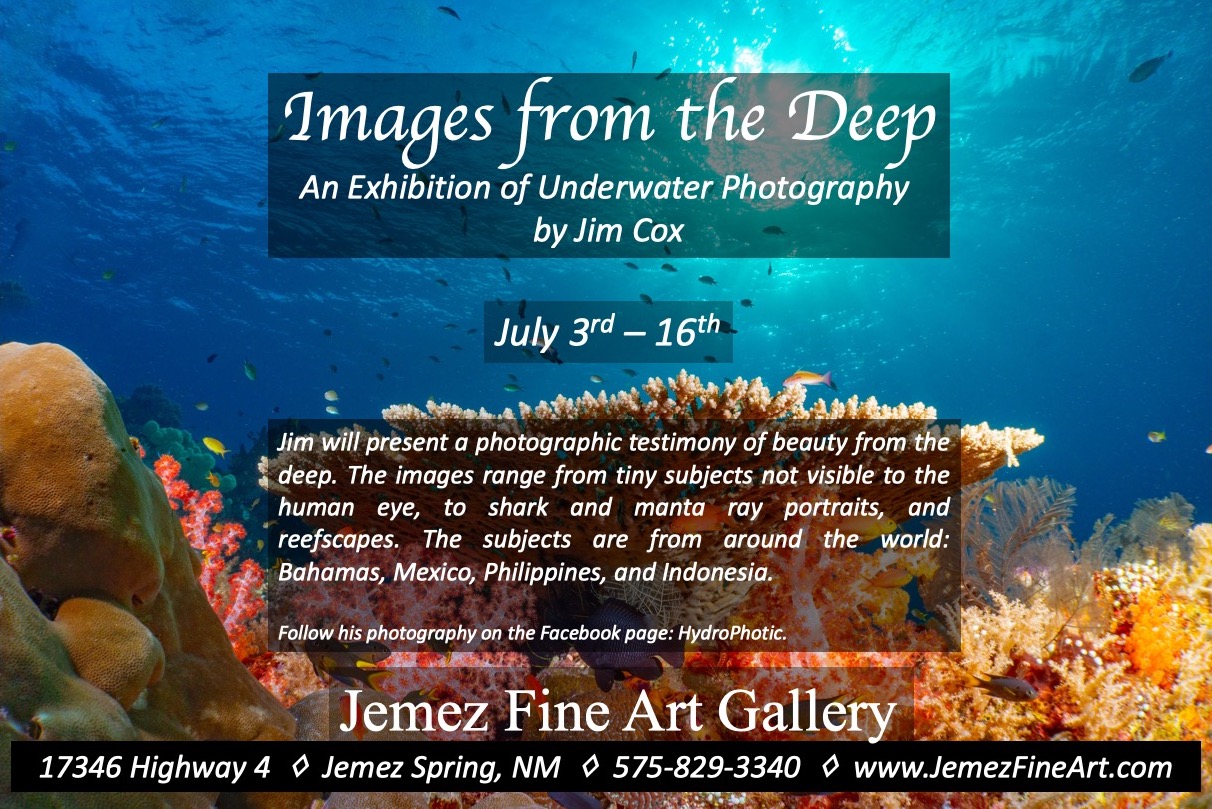 Images from the Deep